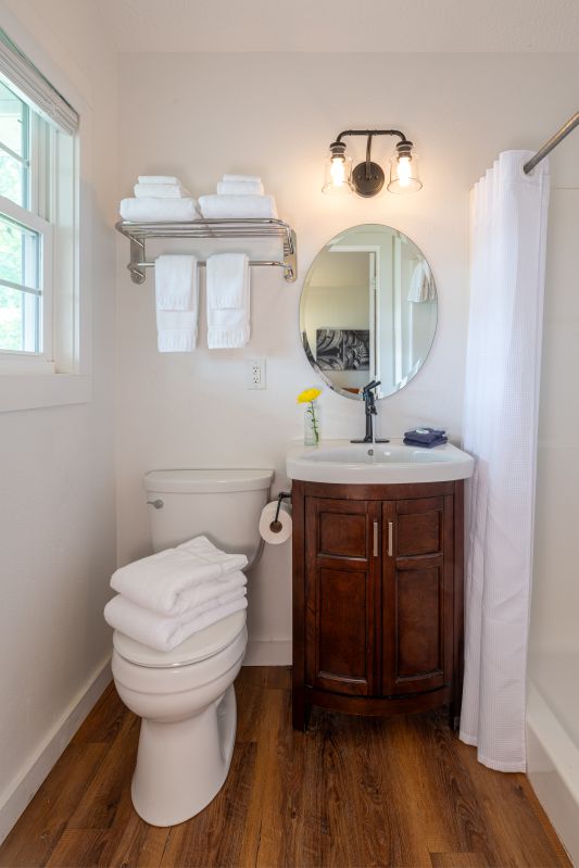 bathroom with toilet, sink, vanity and shower
