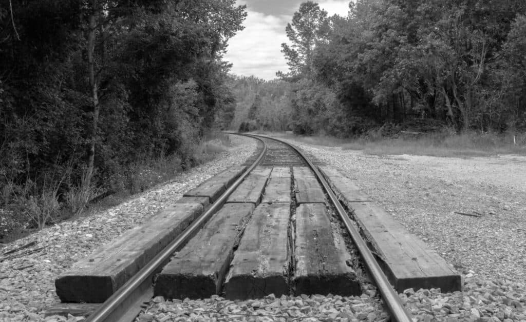 A black and white image of a railway track curving through a wooded area.