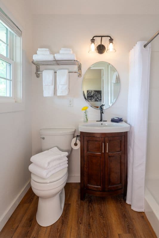 bathroom with toilet, sink, vanity and shower