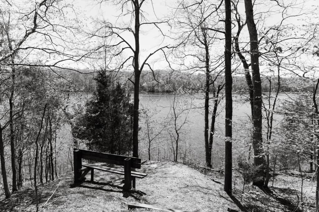 A black-and-white image of a wooden bench beside a lake, surrounded by bare trees.