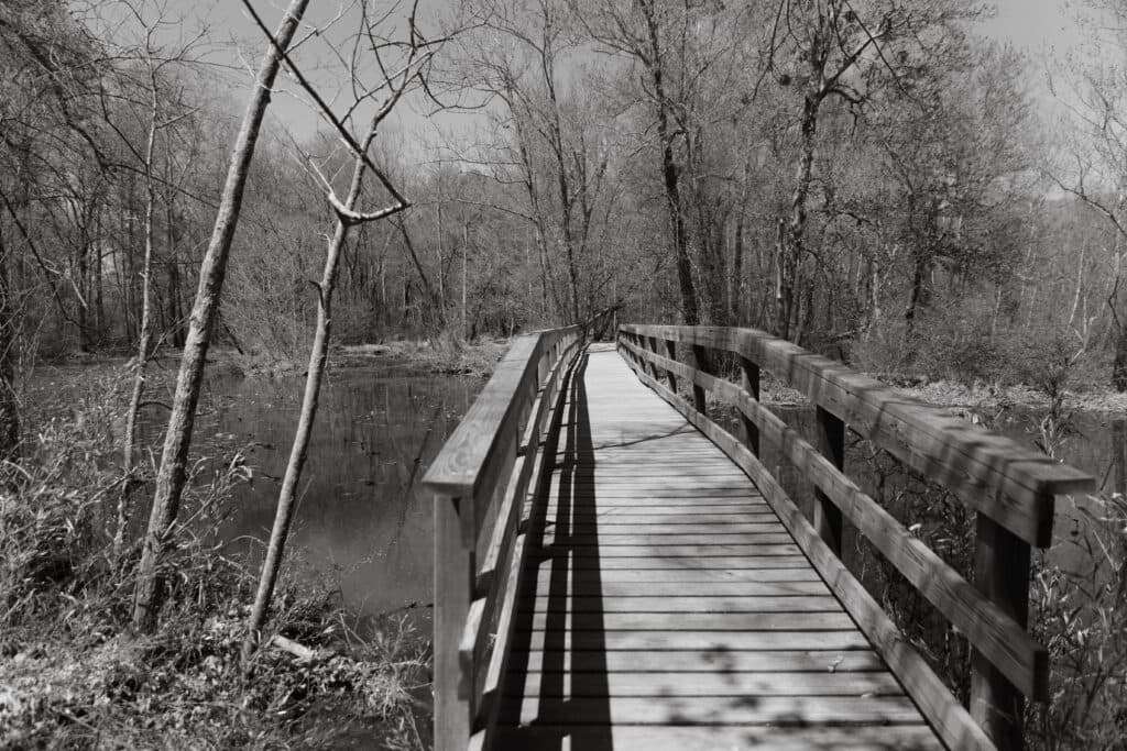 A wooden bridge stretches over a calm, dark waterway surrounded by bare trees in a monochromatic landscape.