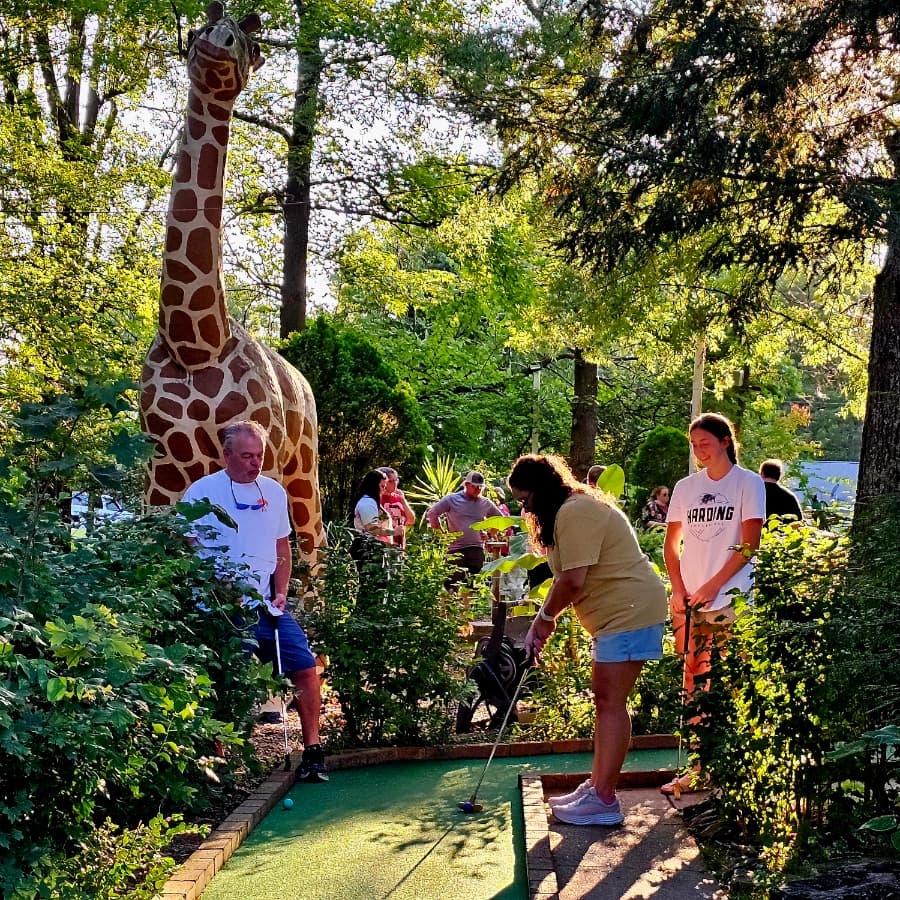 People play mini-golf near a large giraffe statue in a lush, green setting.