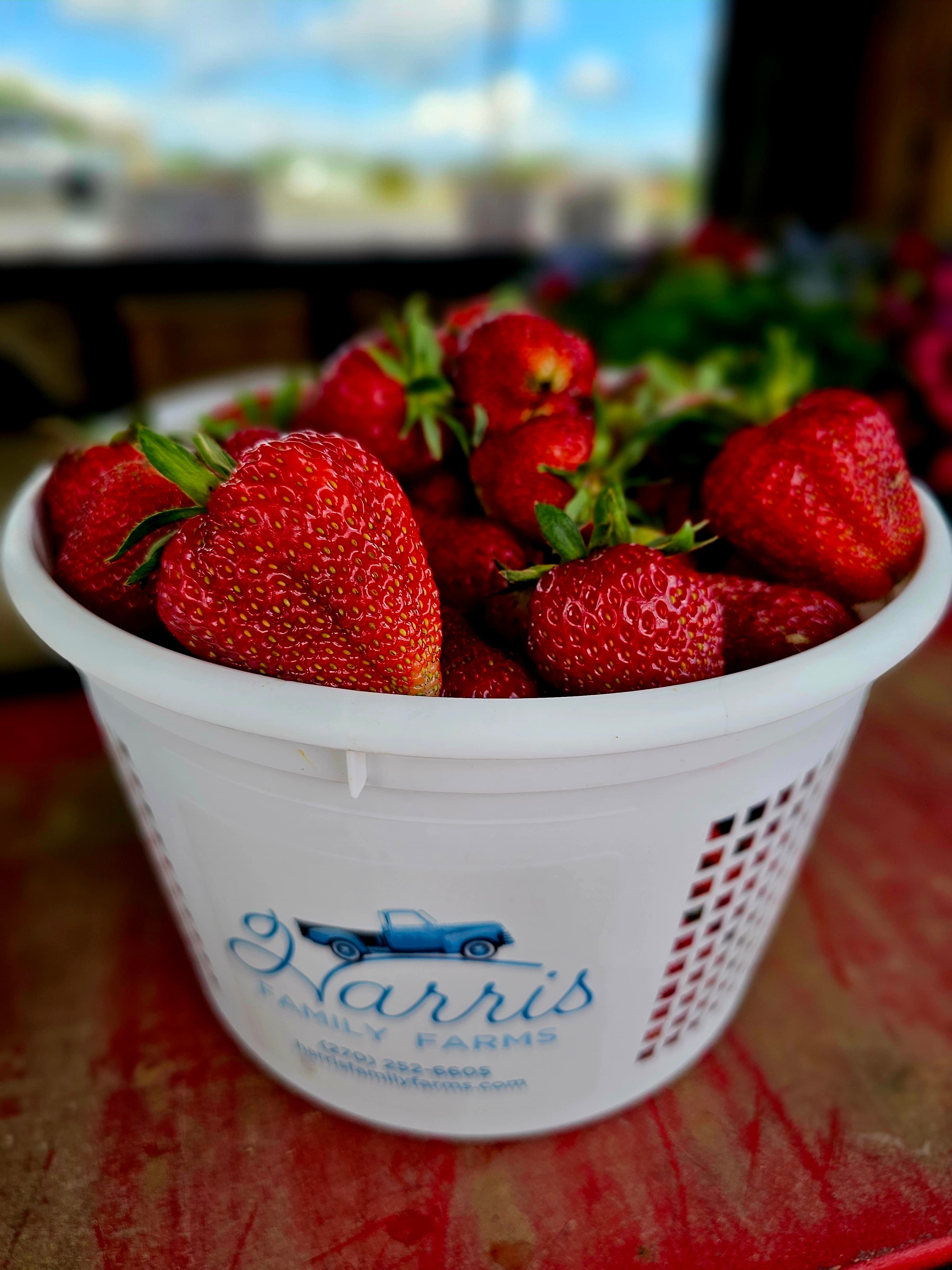 A white basket filled with fresh, red strawberries sits against a blurred background.