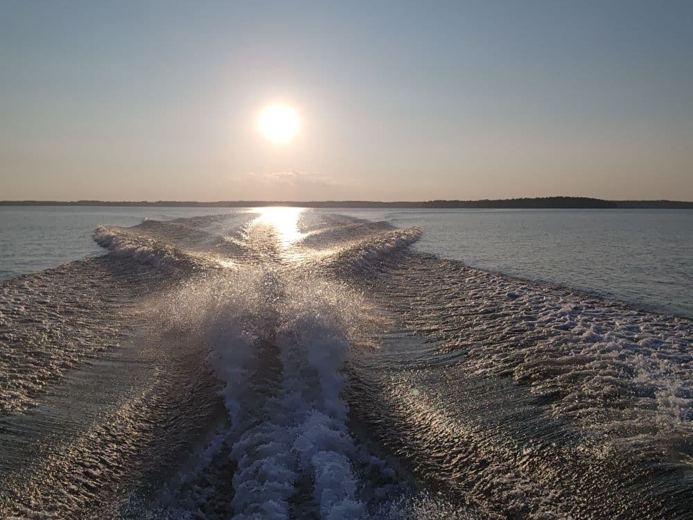 looking at a sunset from a boat with its wake in the foreground