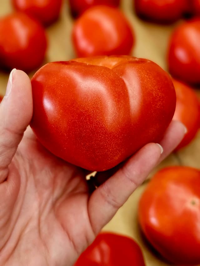 hand holding a tomato