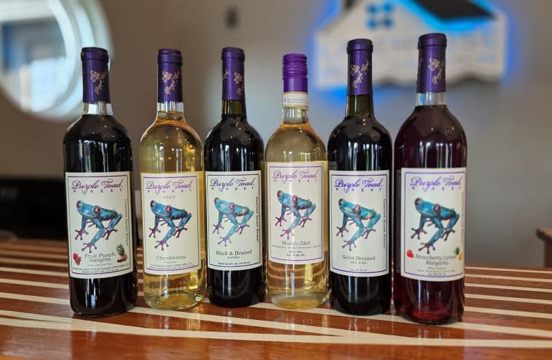 six bottles of Purple Toad wine lined up on a counter
